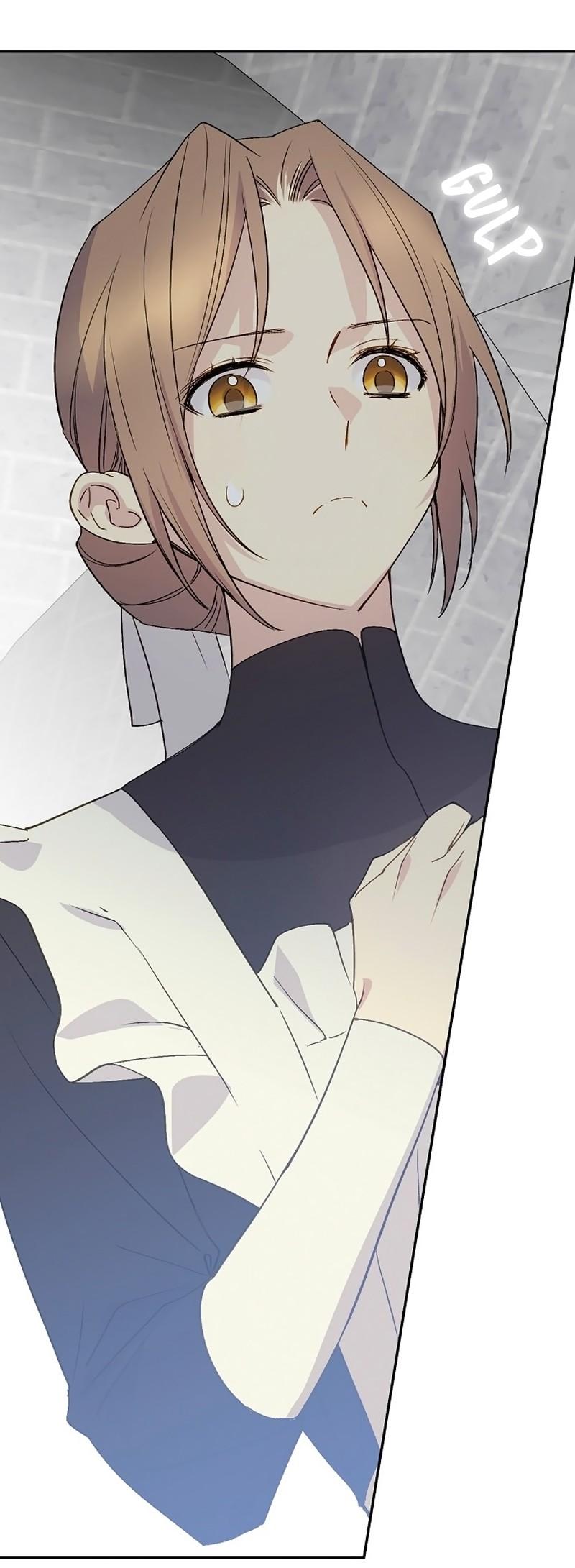 Read A Capable Maid Manga Online