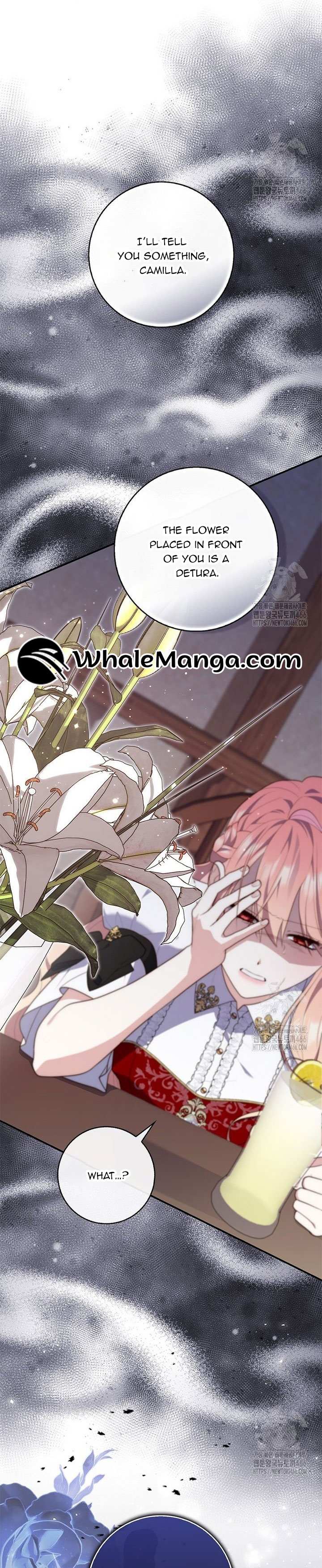 Read A Fortune-Telling Princess Manga Online