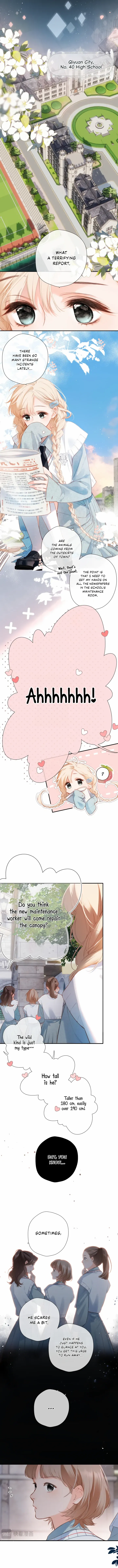 Read Back to Spring Manga Online