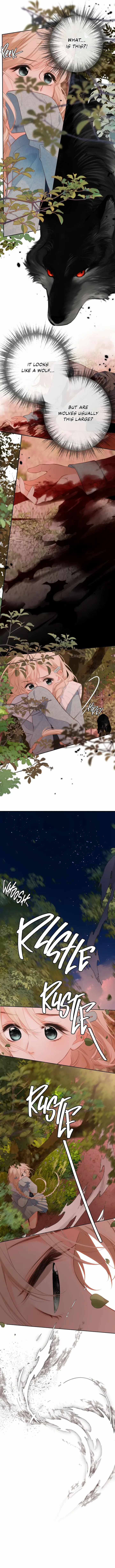 Read Back to Spring Manga Online
