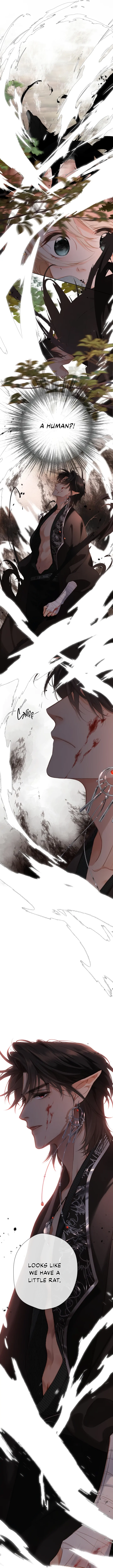 Read Back to Spring Manga Online