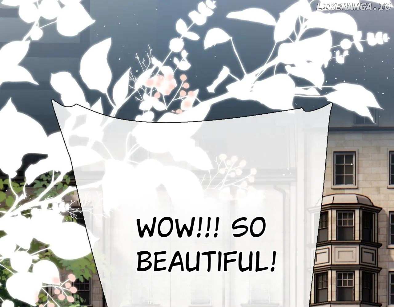Read Back to Spring Manga Online