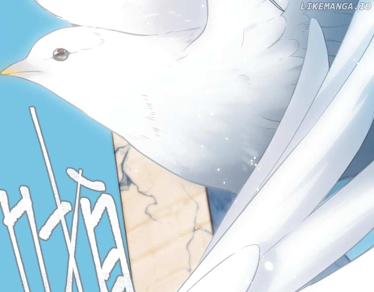 Read Back to Spring Manga Online