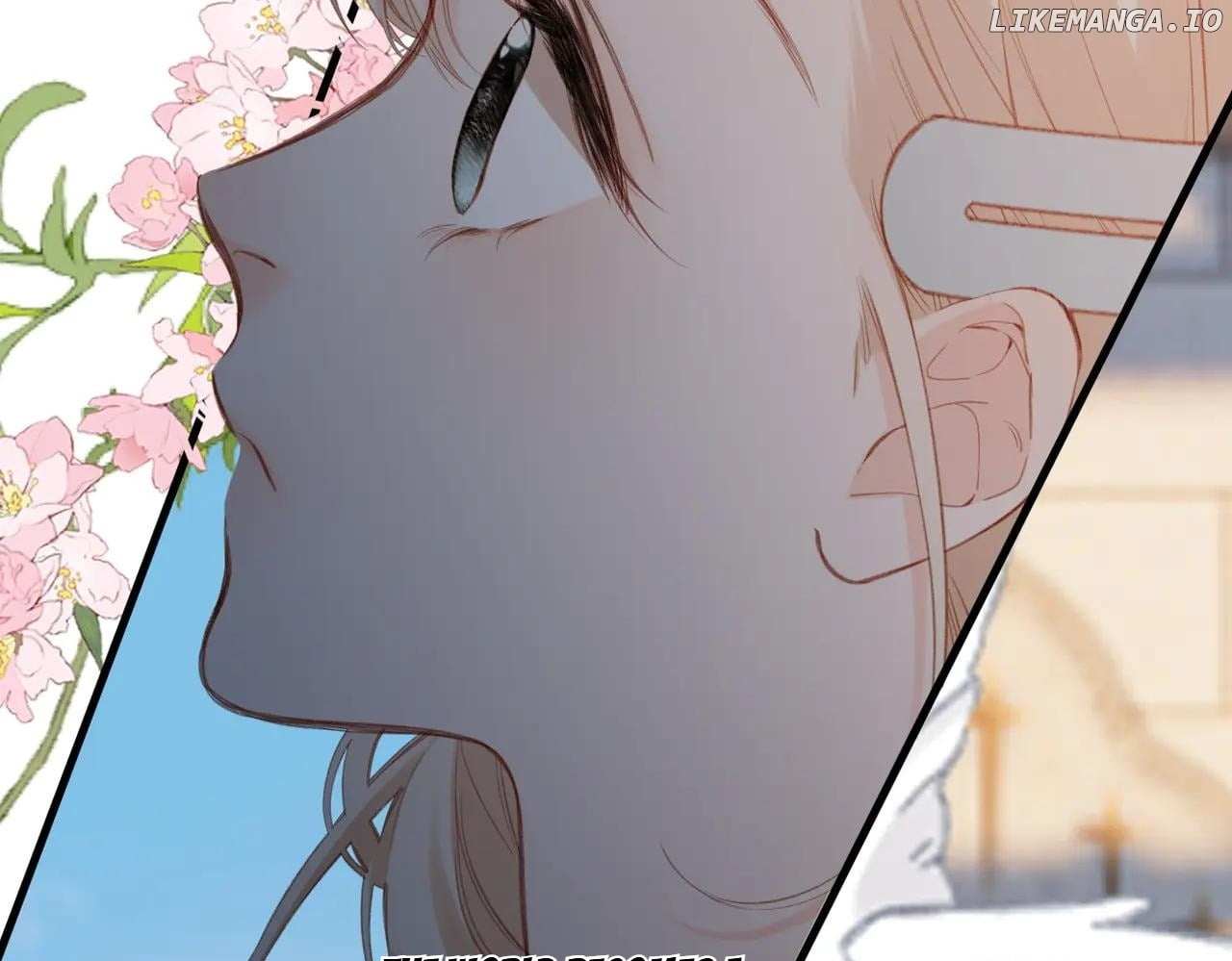 Read Back to Spring Manga Online