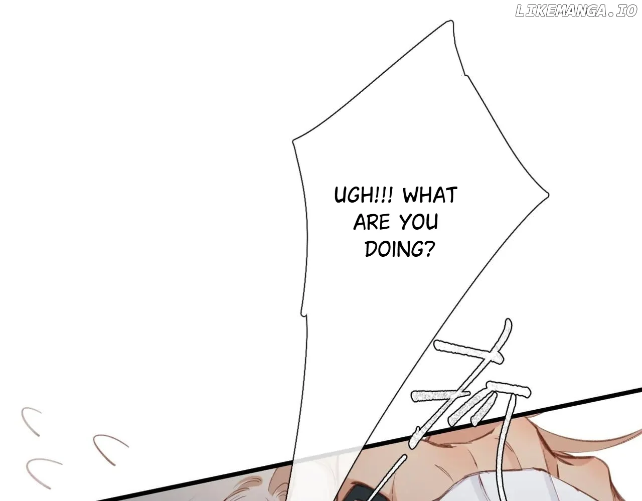 Read Back to Spring Manga Online