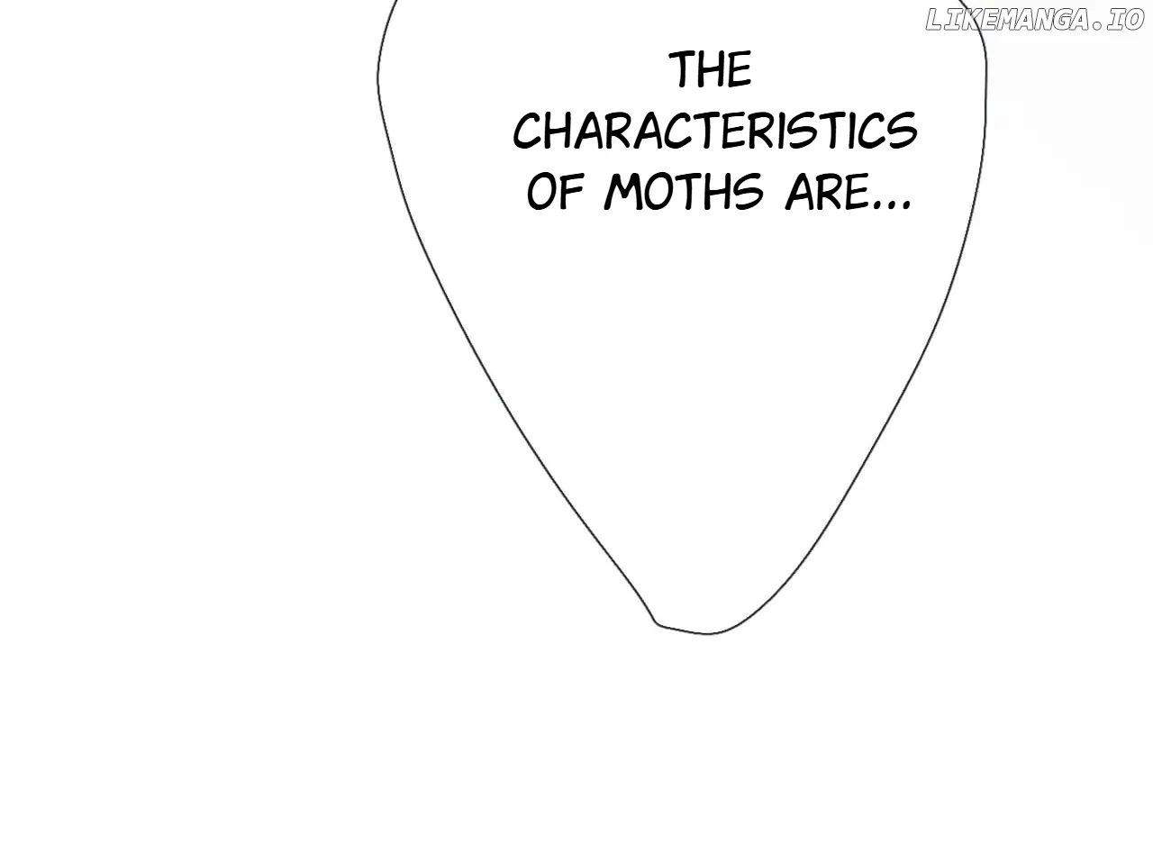 Read Back to Spring Manga Online