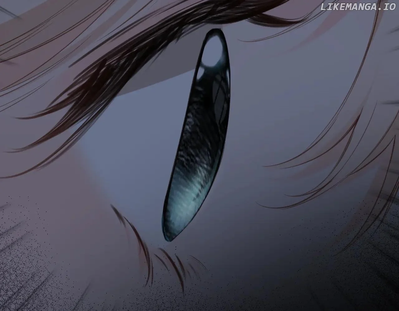 Read Back to Spring Manga Online