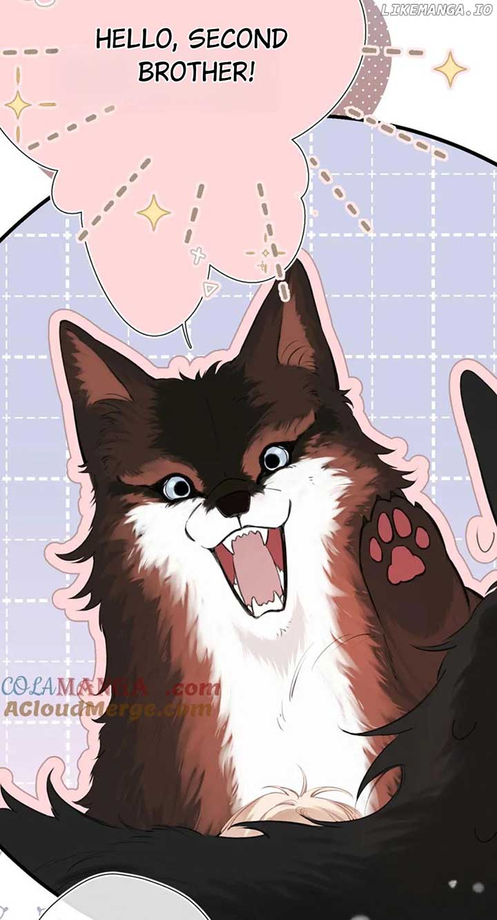 Read Back to Spring Manga Online