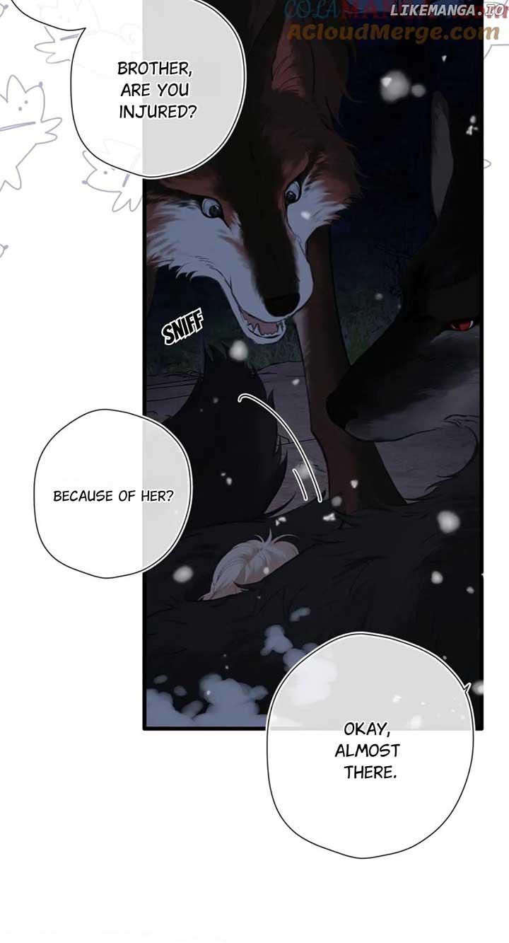 Read Back to Spring Manga Online
