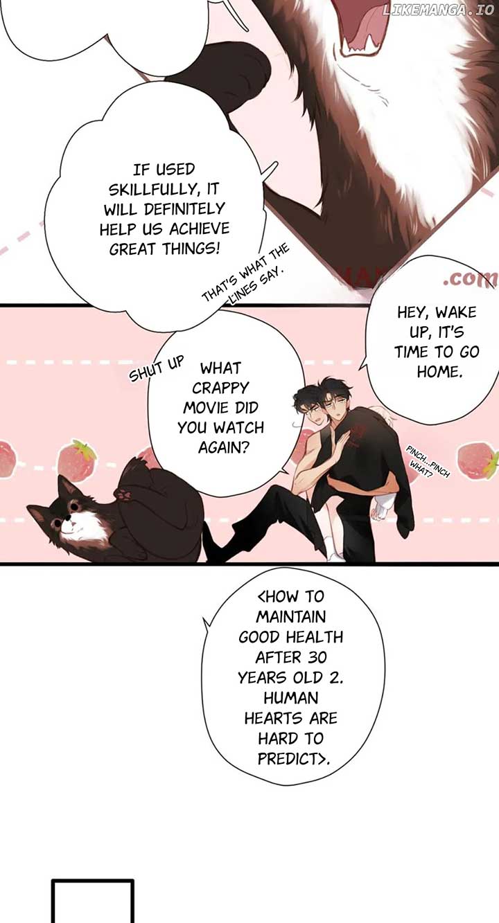 Read Back to Spring Manga Online