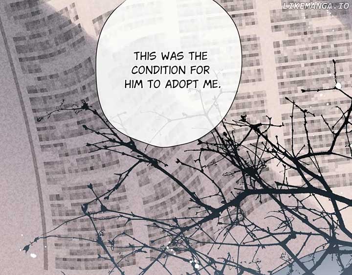 Read Back to Spring Manga Online