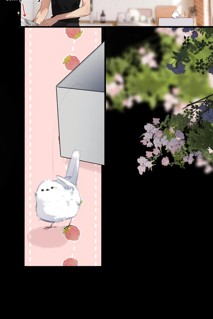 Read Back to Spring Manga Online