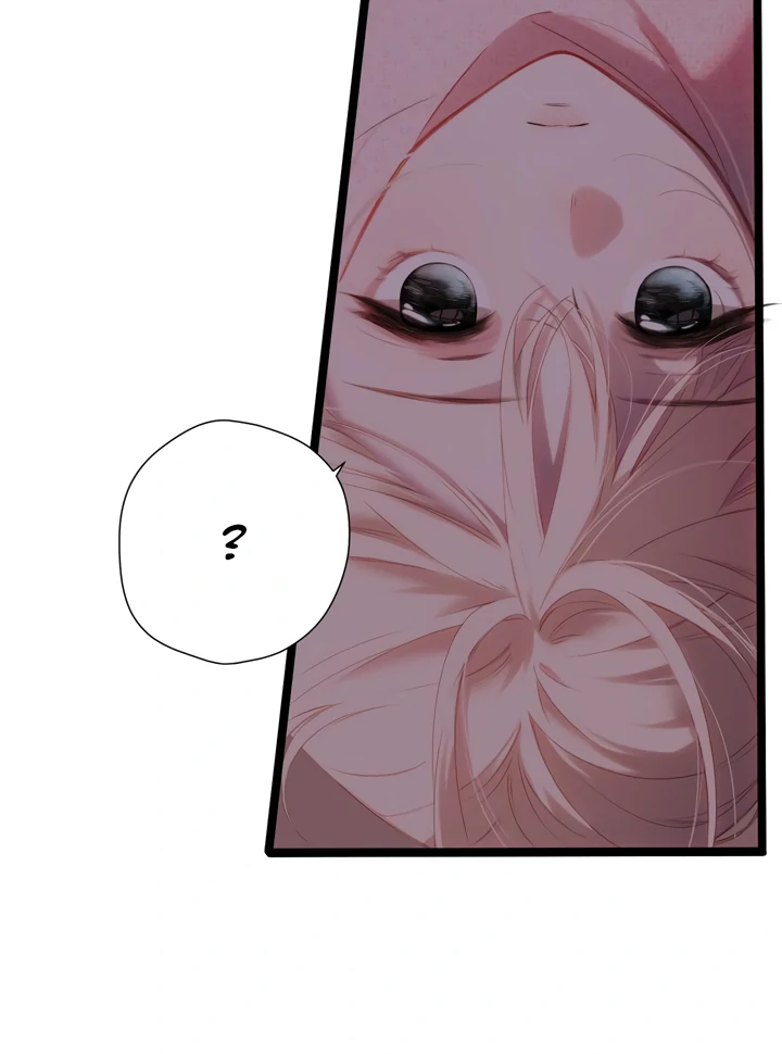 Read Back to Spring Manga Online