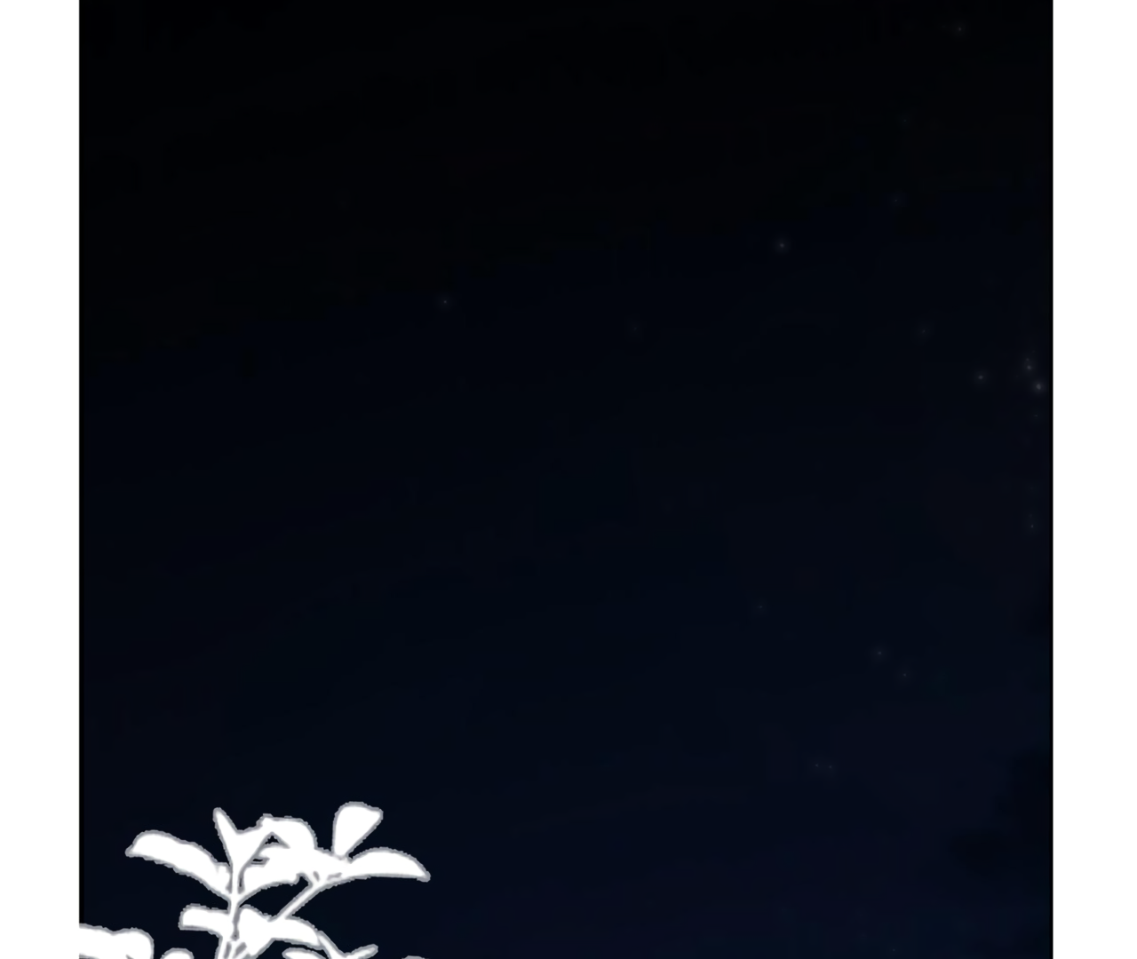 Read Back to Spring Manga Online
