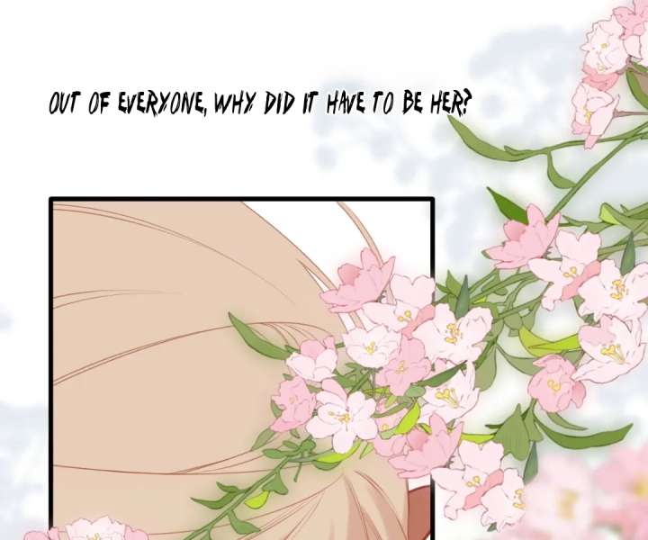 Read Back to Spring Manga Online