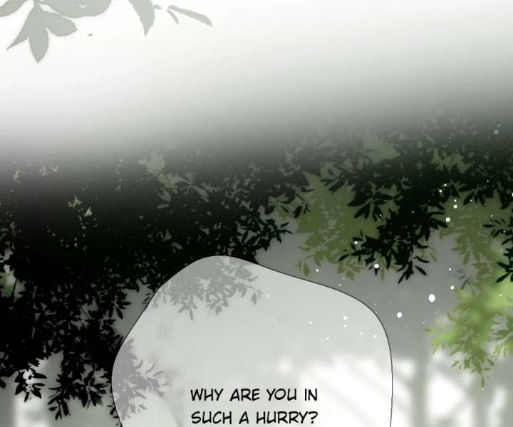 Read Back to Spring Manga Online