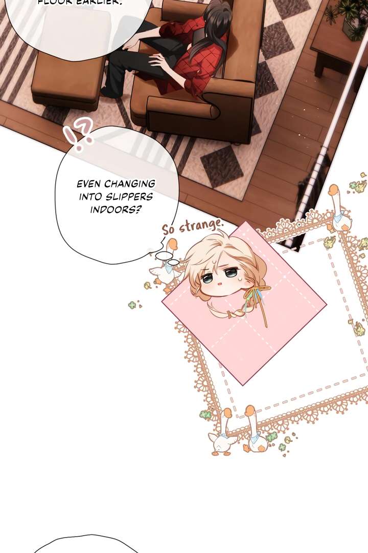 Read Back to Spring Manga Online
