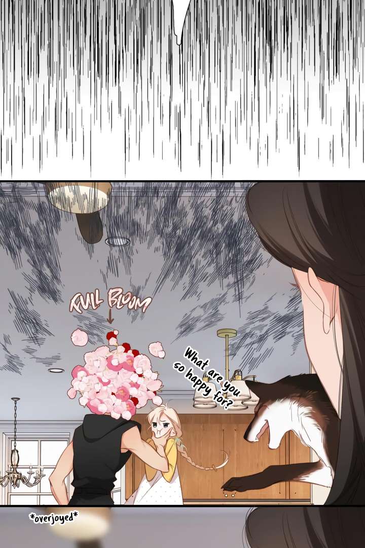 Read Back to Spring Manga Online
