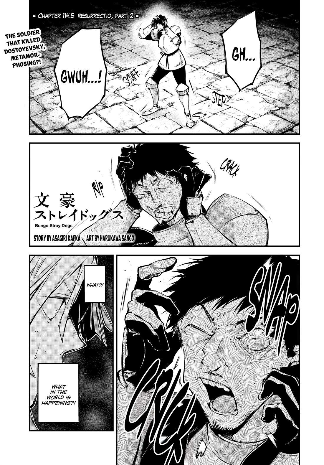 Read Bungou Stray Dogs Manga Online