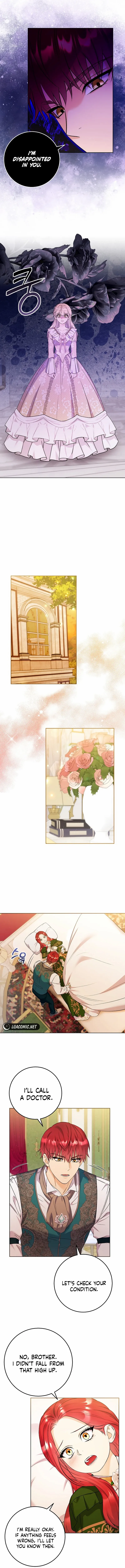 Read Celeb Lady Manga Online