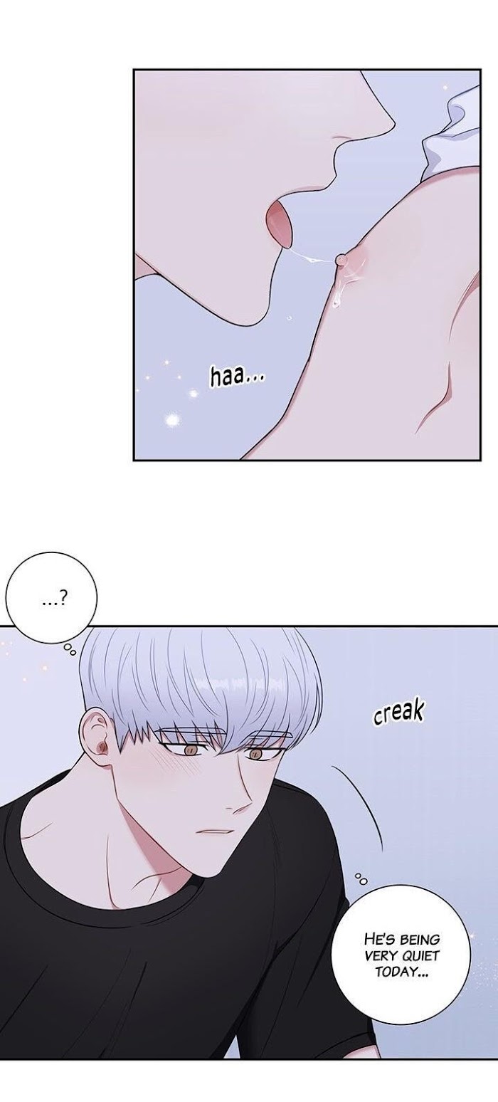 Read Cherry Blossoms After Winter Manga Online