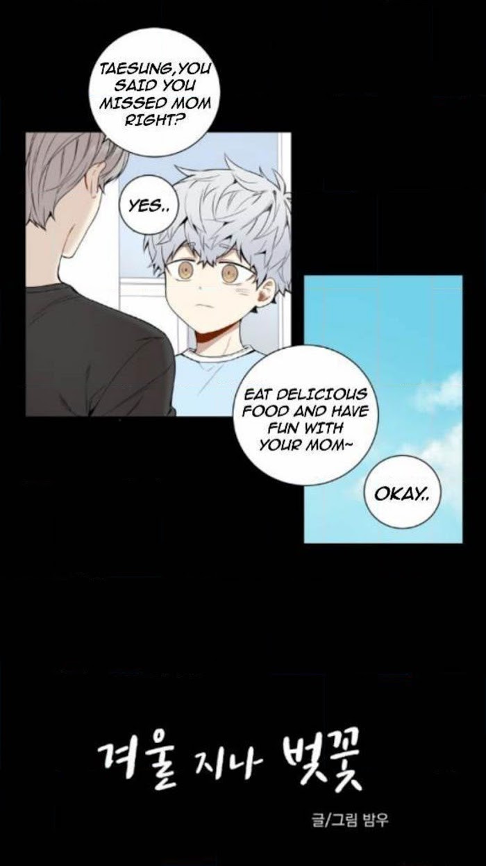 Read Cherry Blossoms After Winter Manga Online