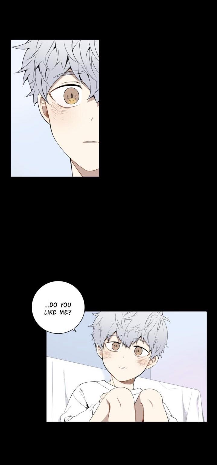 Read Cherry Blossoms After Winter Manga Online