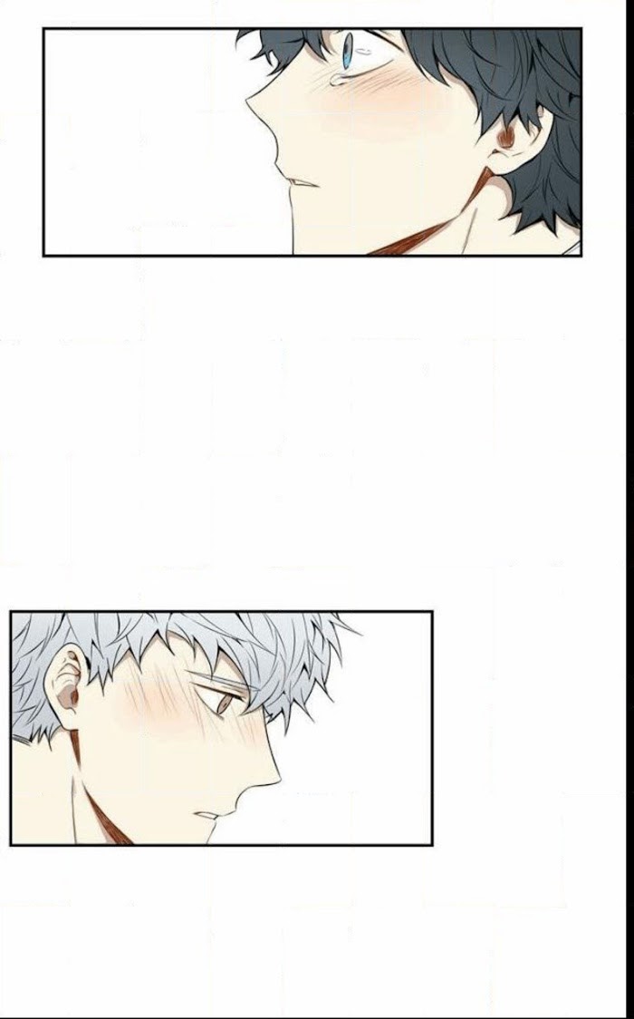 Read Cherry Blossoms After Winter Manga Online