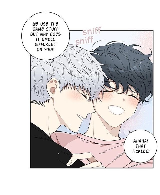 Read Cherry Blossoms After Winter Manga Online