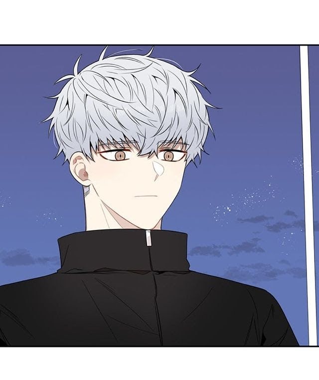 Read Cherry Blossoms After Winter Manga Online
