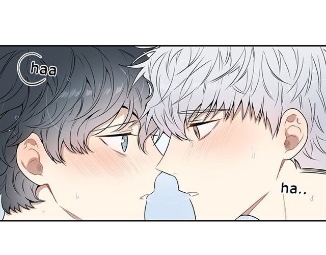Read Cherry Blossoms After Winter Manga Online