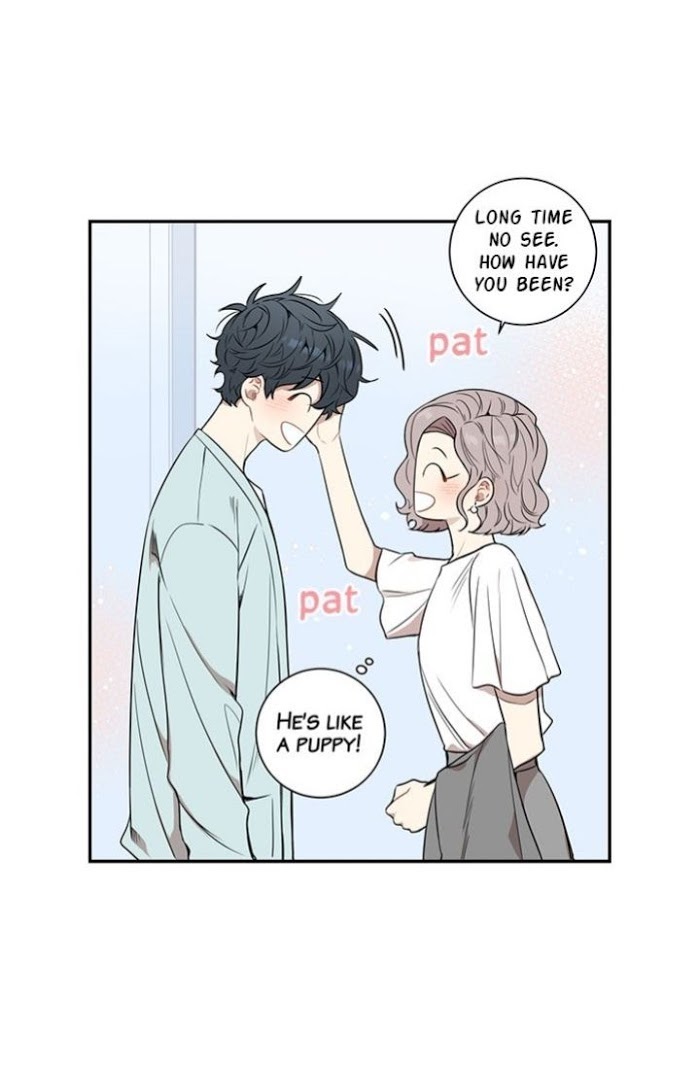 Read Cherry Blossoms After Winter Manga Online