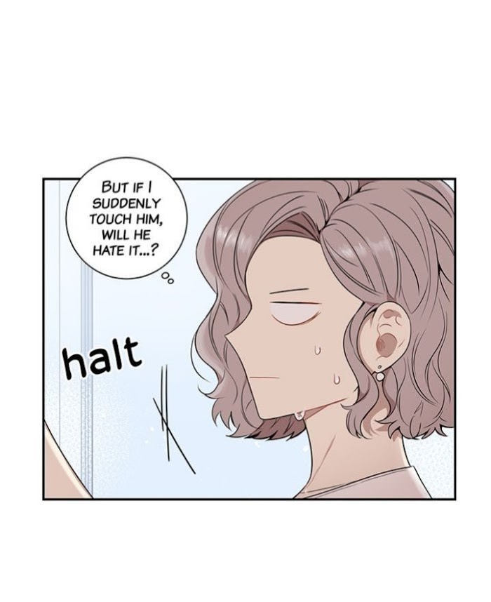 Read Cherry Blossoms After Winter Manga Online