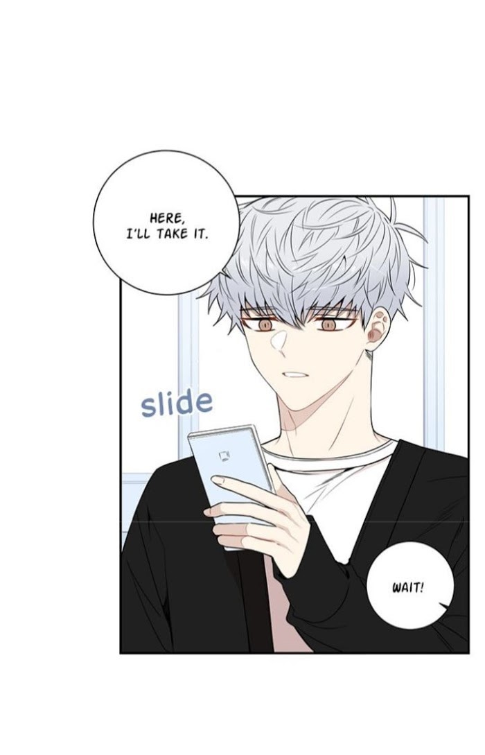 Read Cherry Blossoms After Winter Manga Online
