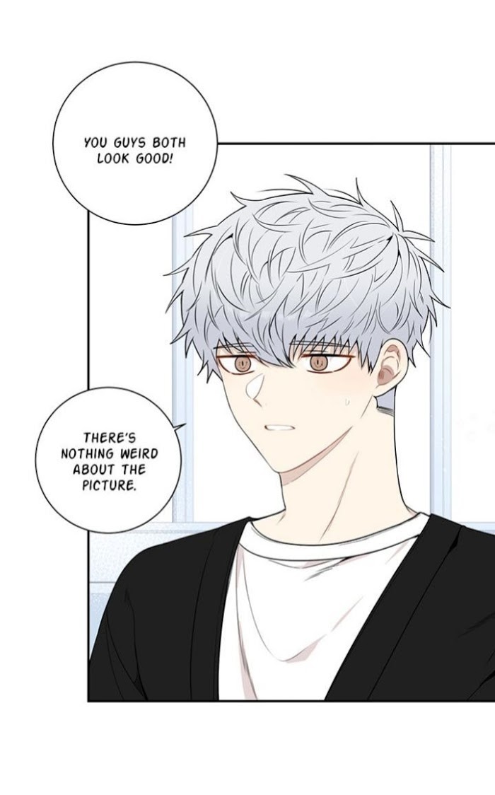 Read Cherry Blossoms After Winter Manga Online