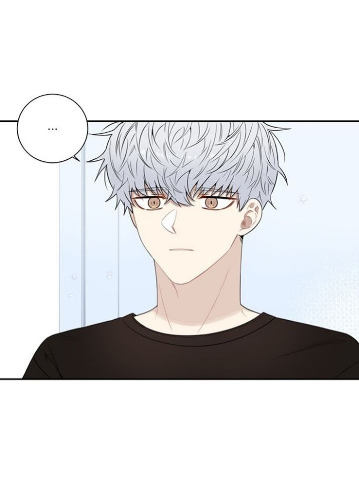 Read Cherry Blossoms After Winter Manga Online