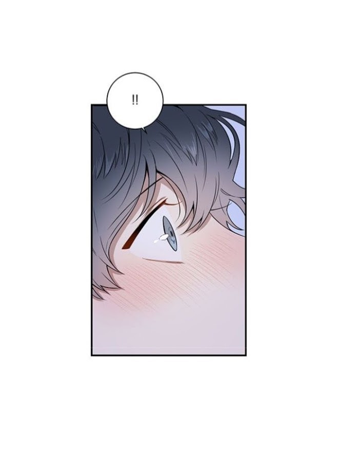 Read Cherry Blossoms After Winter Manga Online