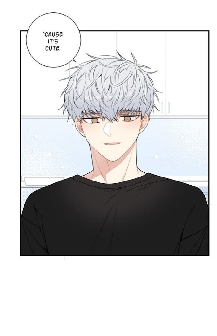 Read Cherry Blossoms After Winter Manga Online