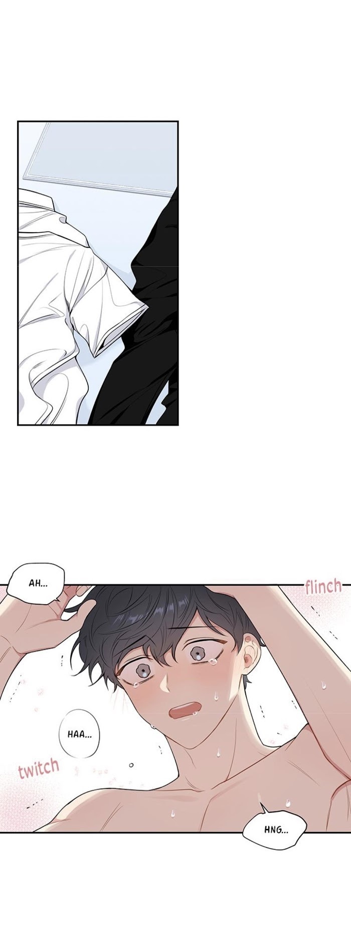 Read Cherry Blossoms After Winter Manga Online