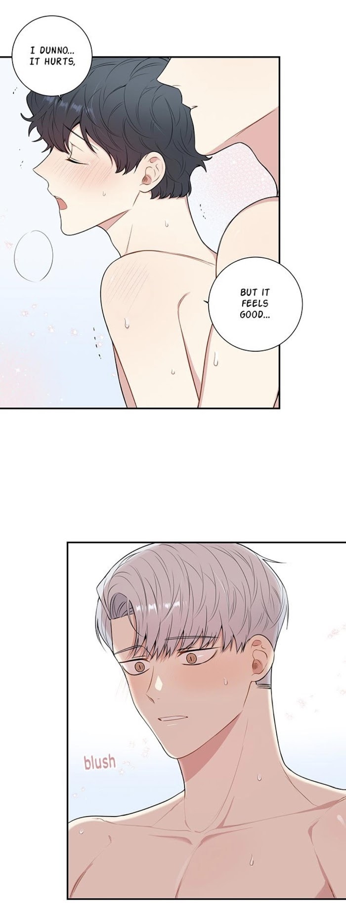 Read Cherry Blossoms After Winter Manga Online