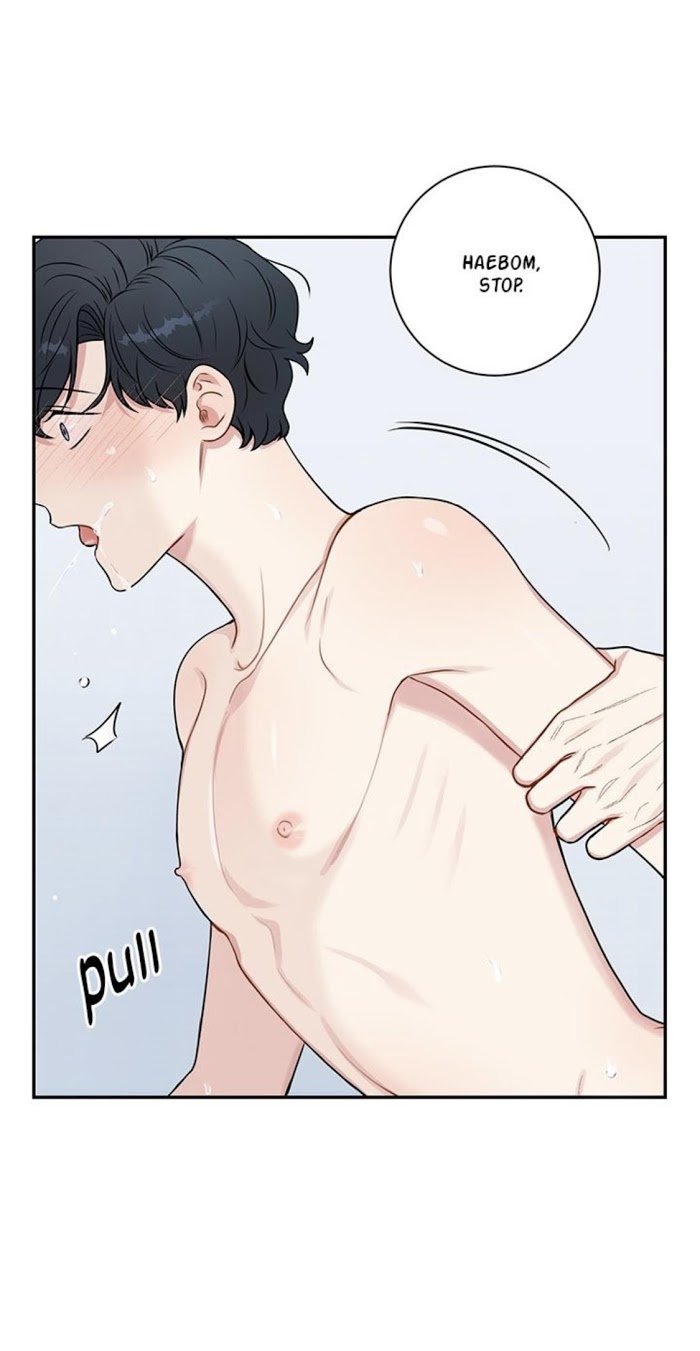 Read Cherry Blossoms After Winter Manga Online