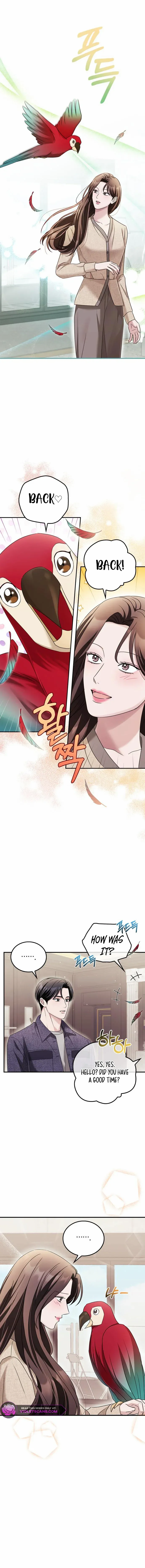 Read Couple, How Far You Can Go Manga Online
