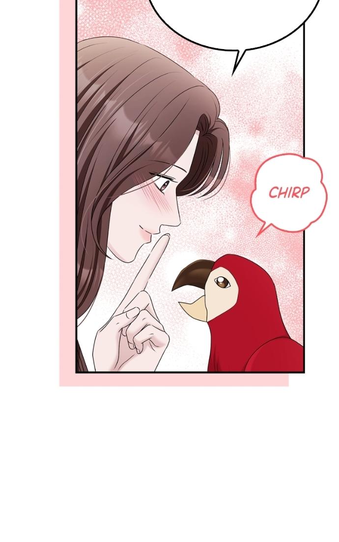Read Couple, How Far You Can Go Manga Online
