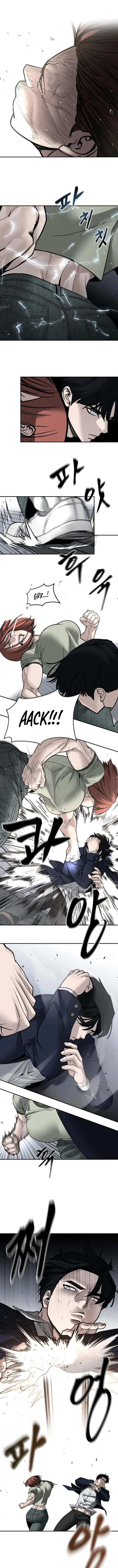 Read Designated Bully Manga Online