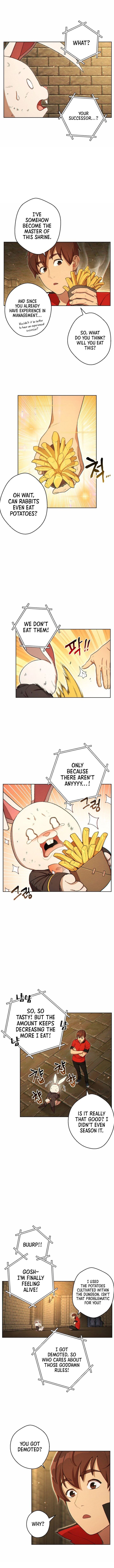 Read Dungeon Reset Manga Online