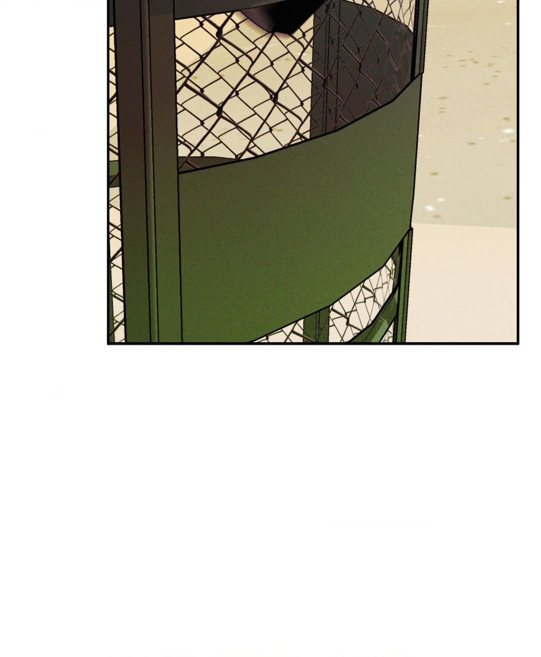 Read Flashlight Manga Online