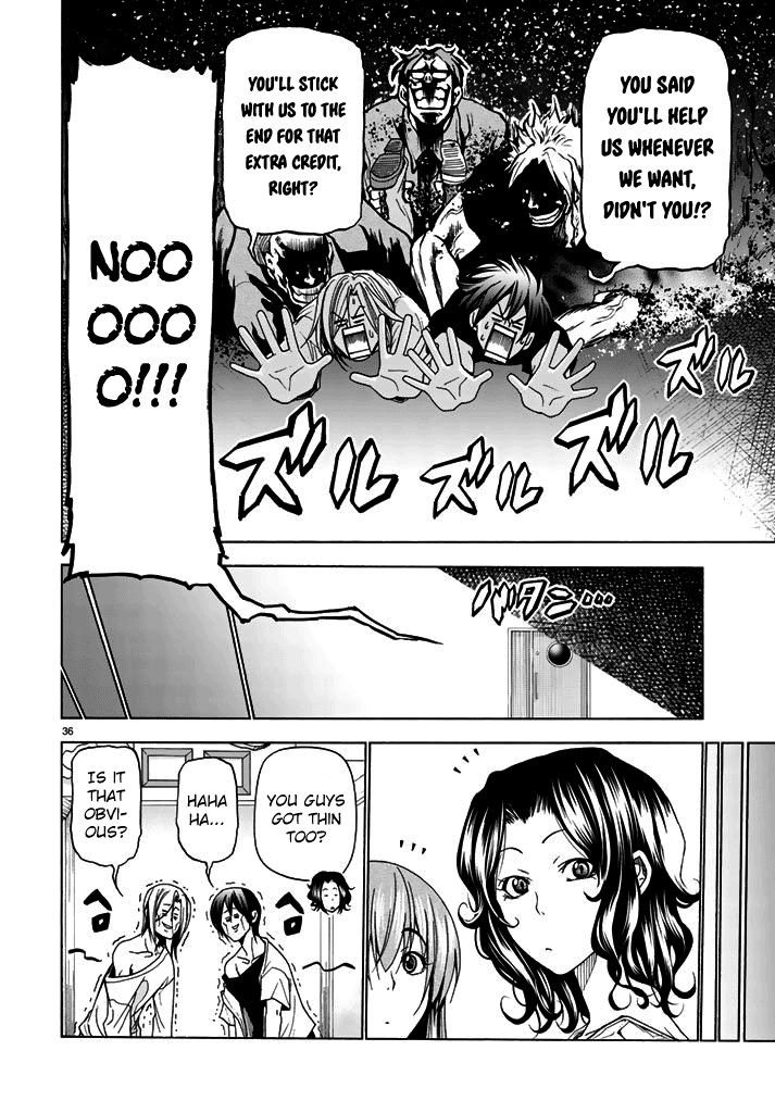 Read Grand Blue Manga Online