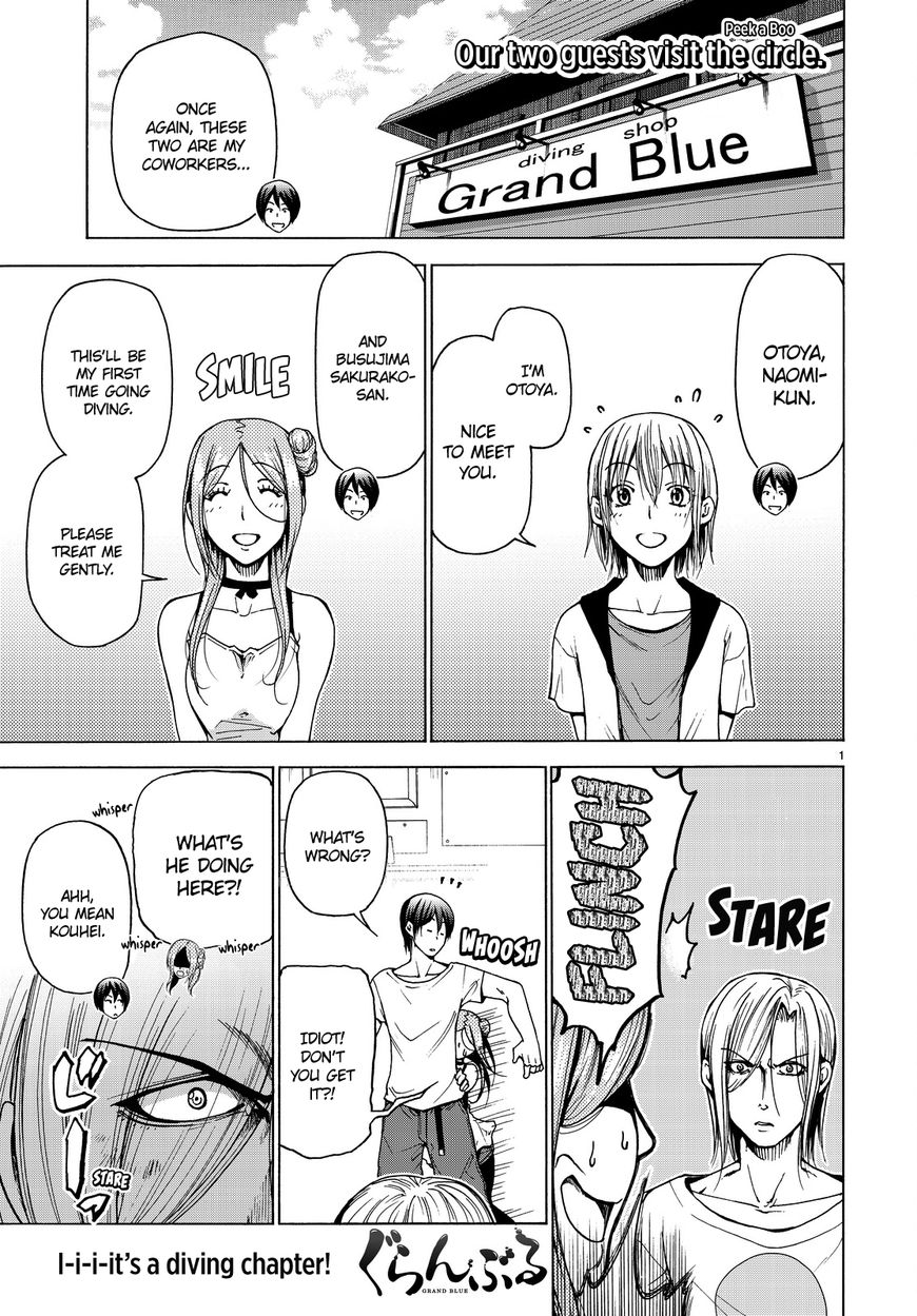 Read Grand Blue Manga Online