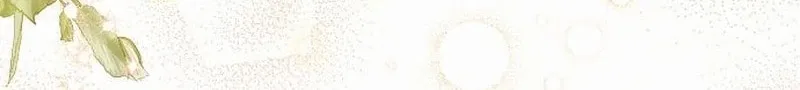 Read I’ve Probably Made a Mistake in Getting Married Manga Online