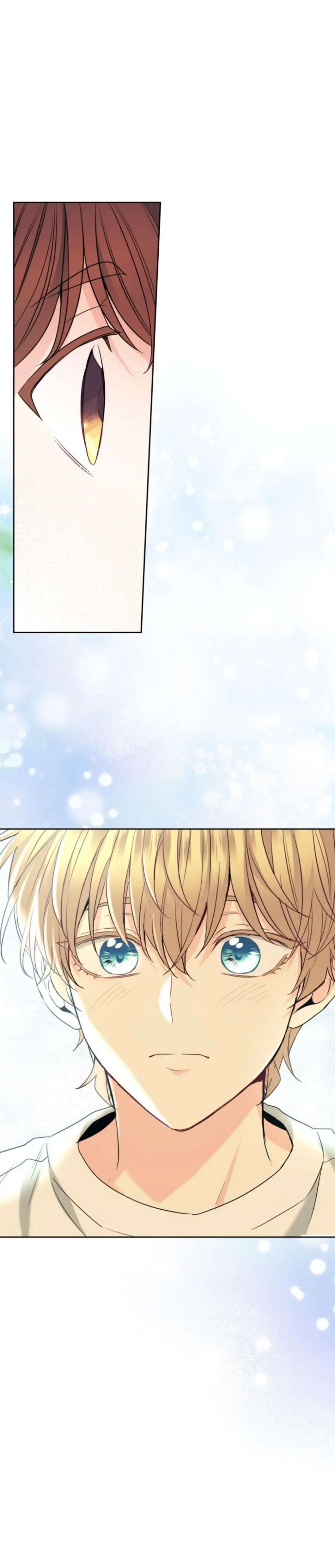 Read Inso's Law Manga Online